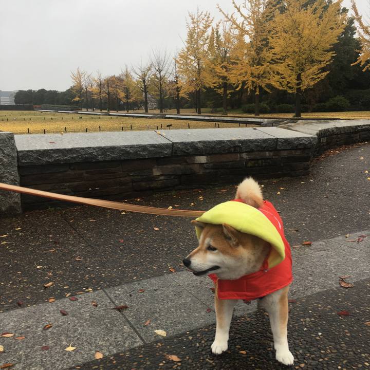 35e192e6 252c 4c34 ad71 9b9bc41d378d 1574484106575