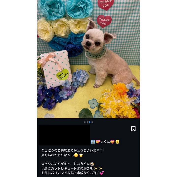 35e1f25d 6f8a 41a8 b79b 7570195041ff 1747742842032