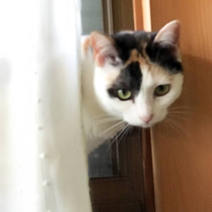 35e1f64b 3576 4c74 bb6c 755569e36620 1527813034880