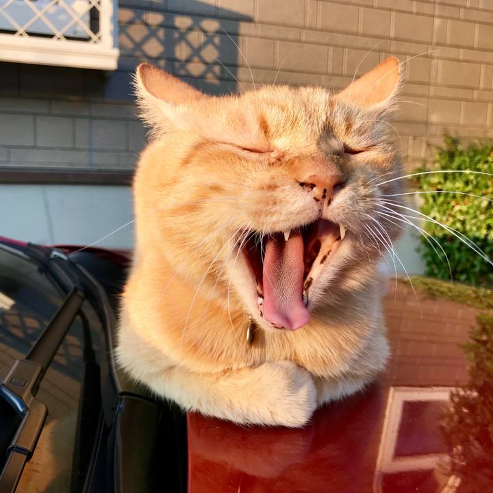 35e1fe66 dc5e 4b20 b1e0 aaa37bd8ef27 1509522958576