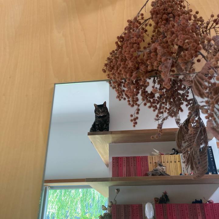 35e21d13 e1c4 4390 8a7e 2a15aa634bd2 1757213537100