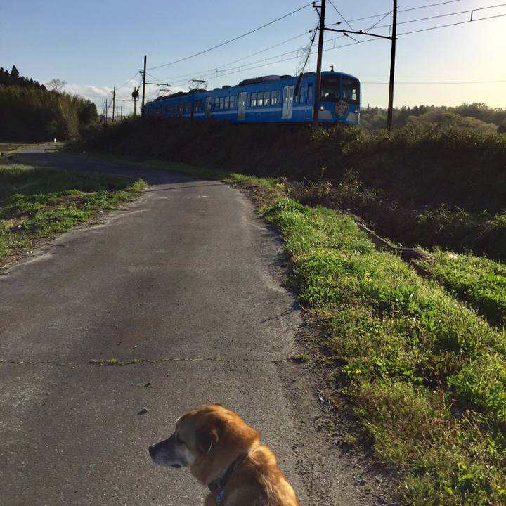 35e22dc0 8f6b 43a3 86ea 6d1651a1b59a 1524217707554