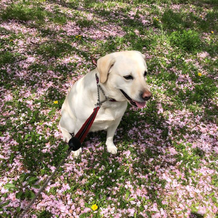 35e261f5 033d 444c 8b1d 6d356e4eab36 1617177408886