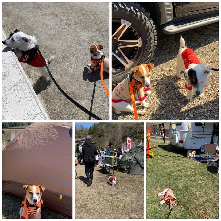 35e26469 0ea9 4ba5 a69a 06da5eb09fc5 1555142633945