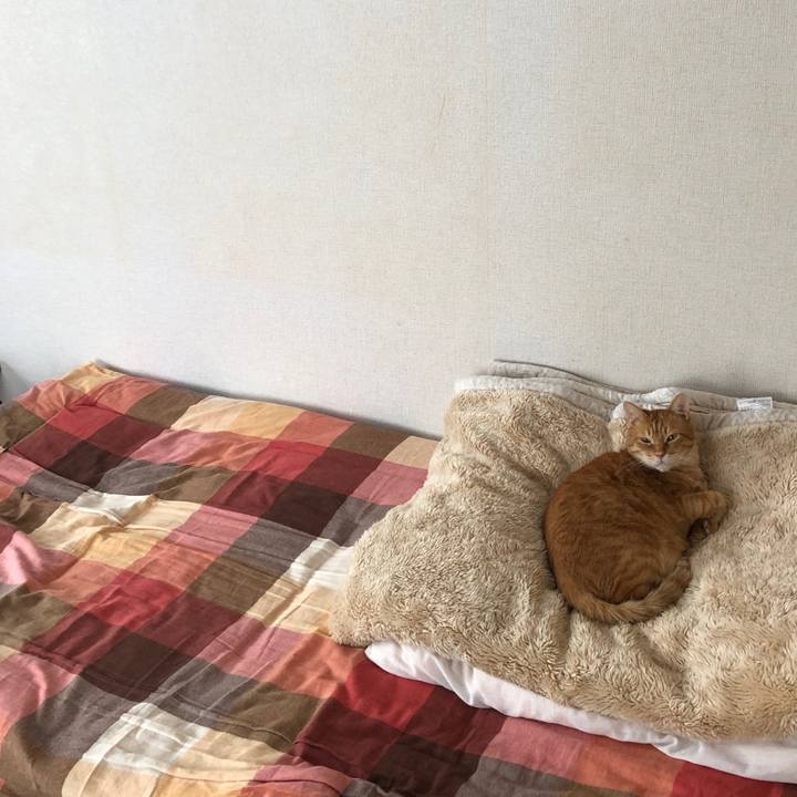 35e26674 fc0c 4ea4 8087 12502ab26d49 1671757081419