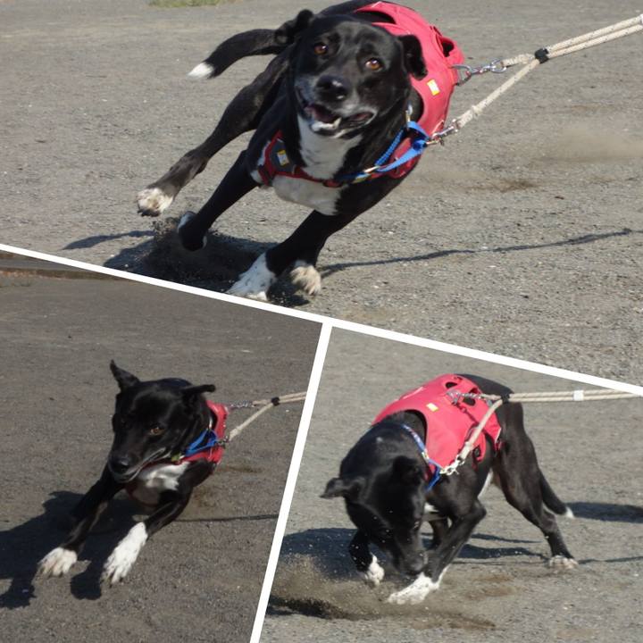 35e266aa 41d5 4d5a 9b9f 842f11e51509 1680570466685