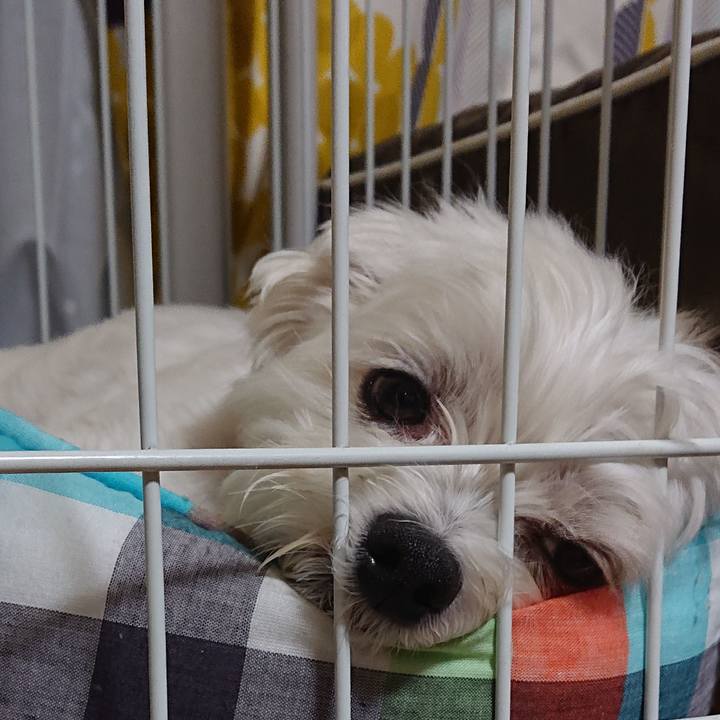 35e29778 7405 40a8 ad65 0b49e4622f3b 1535625919279