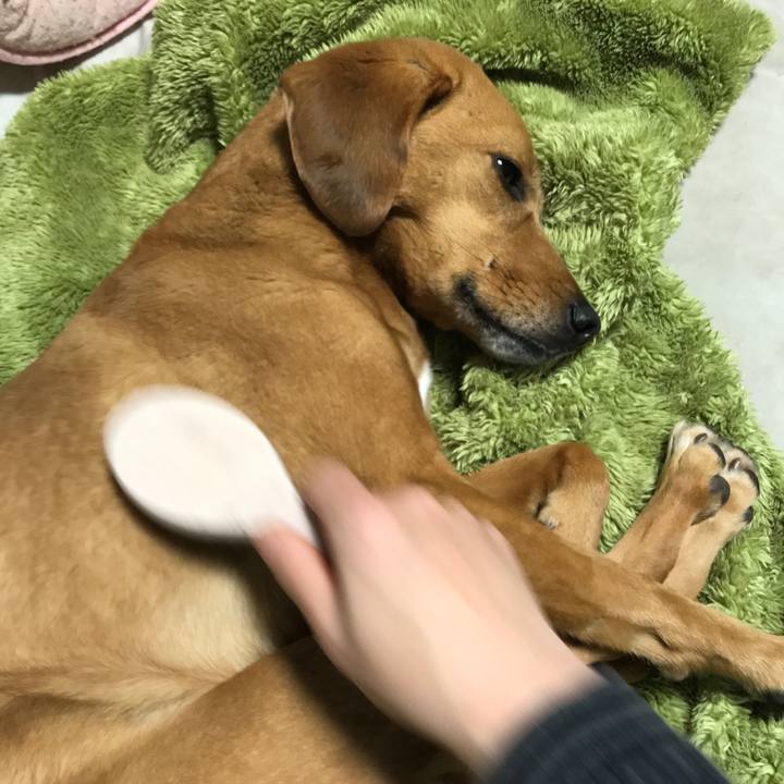 35e2a064 f00c 47db 817b bd168f95dcba 1520685889468