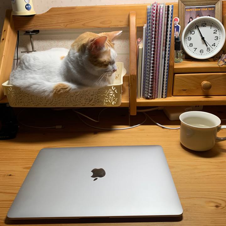 35e2e4b1 a13d 4d56 b71c 027bf62e50b4 1665172480796