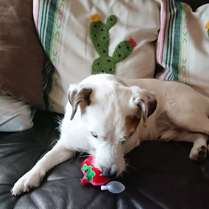 35e31a55 67c8 4238 95f3 0c6e23fb5f67 1532646407847