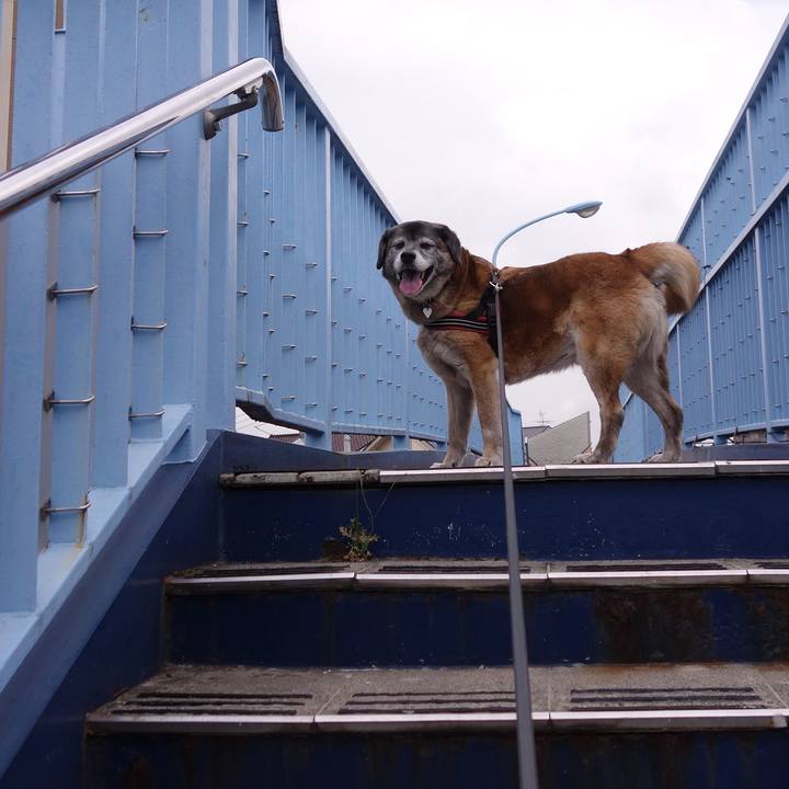 35e33e17 7995 491d ba1b 39978f94caa2 1558147933959