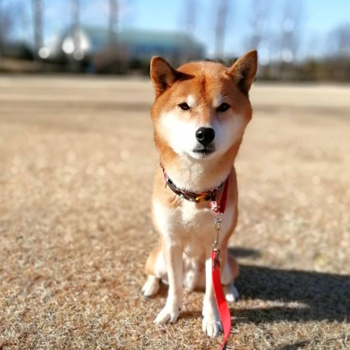 35e35343 57e7 48b1 9e35 985a9d8bf444 1675132224700