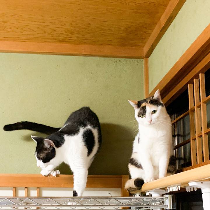 35e3a025 c6e2 465e 82f9 e4c7d5690c3a 1570761663194