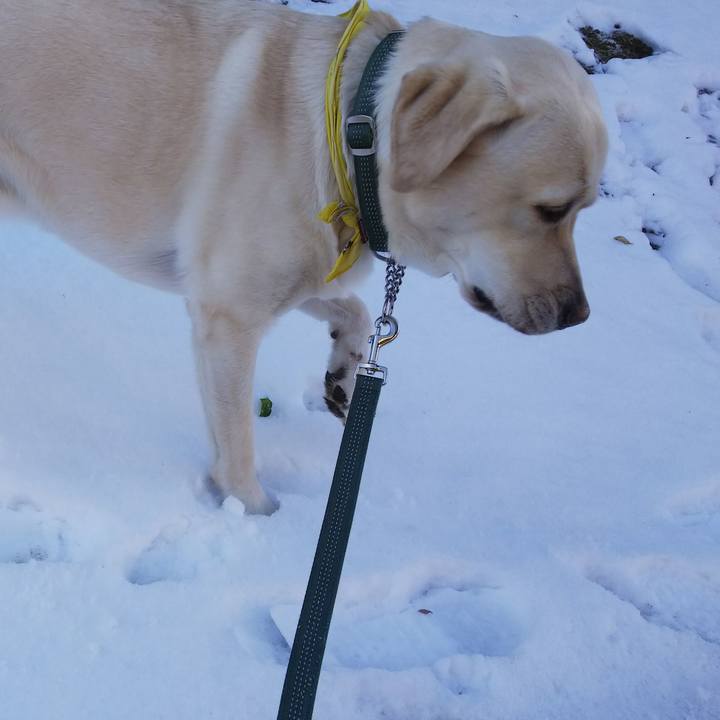 35e3b614 04be 42cc bdd3 ed33d3e5f6d3 1516791126020