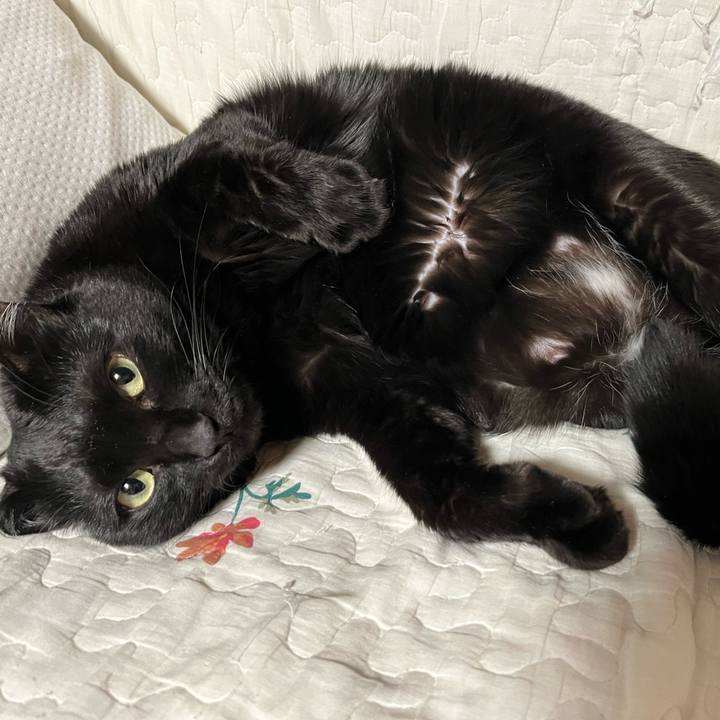 35e3d39e 26c4 43cf addd 6335a135c287 1671005879025