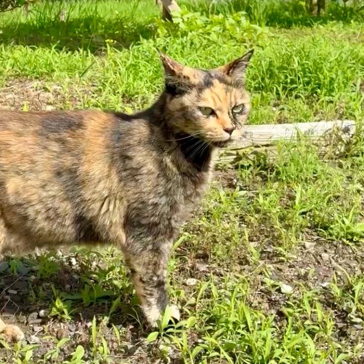 35e3dbe0 5470 4595 9422 8ca505e4dd24 1750298605573