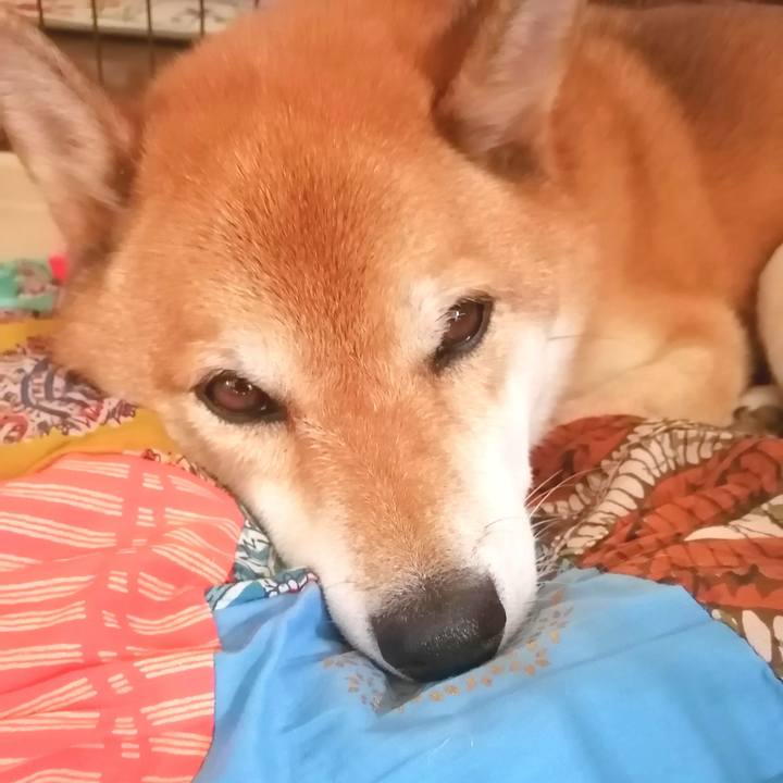 35e3f7d9 2bf4 4124 a889 4a112ef9f653 1661752840150