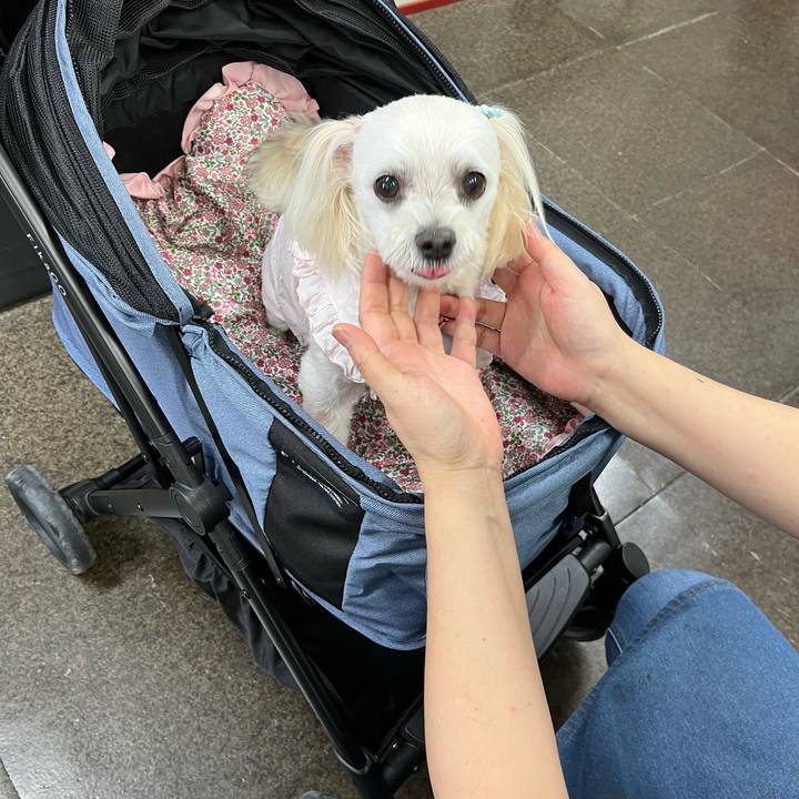 35e408c4 1ce6 4677 85f9 762536c3f6a7 1691579647756