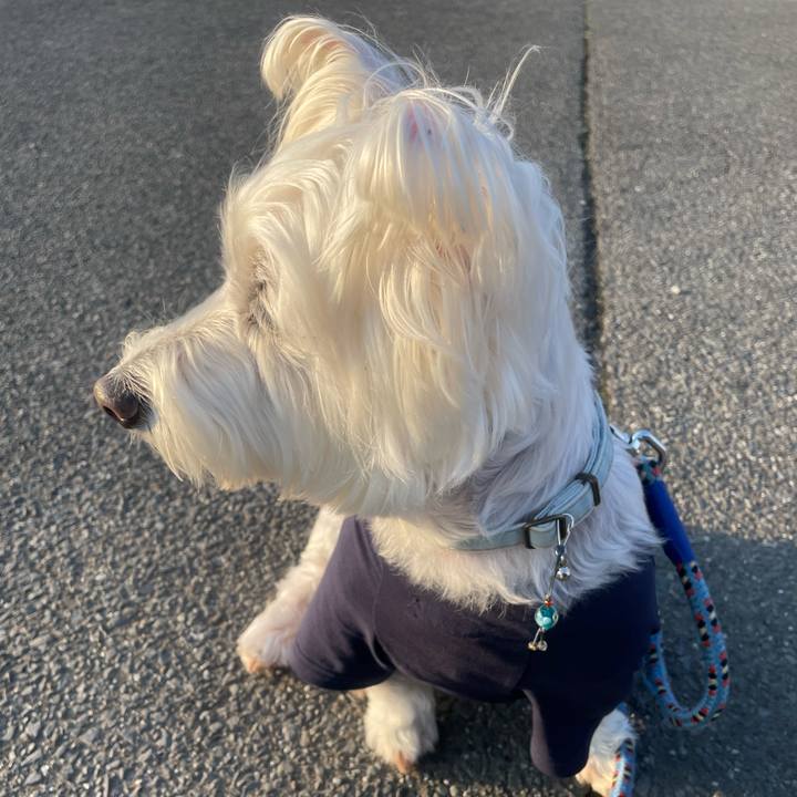 35e4456b 578f 4f8e b5fa 7a0663c51479 1744481512306