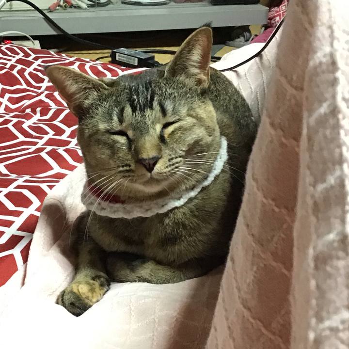 35e44c22 be7d 4023 9c98 0c011001e3e6 1609579424161