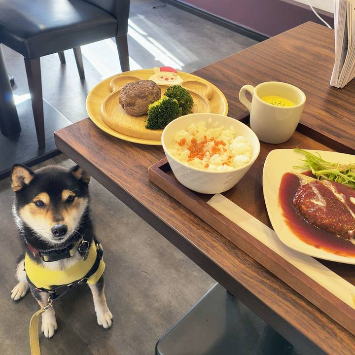 35e460de b72f 42ad 9a6d 35846189cb50 1765769646773