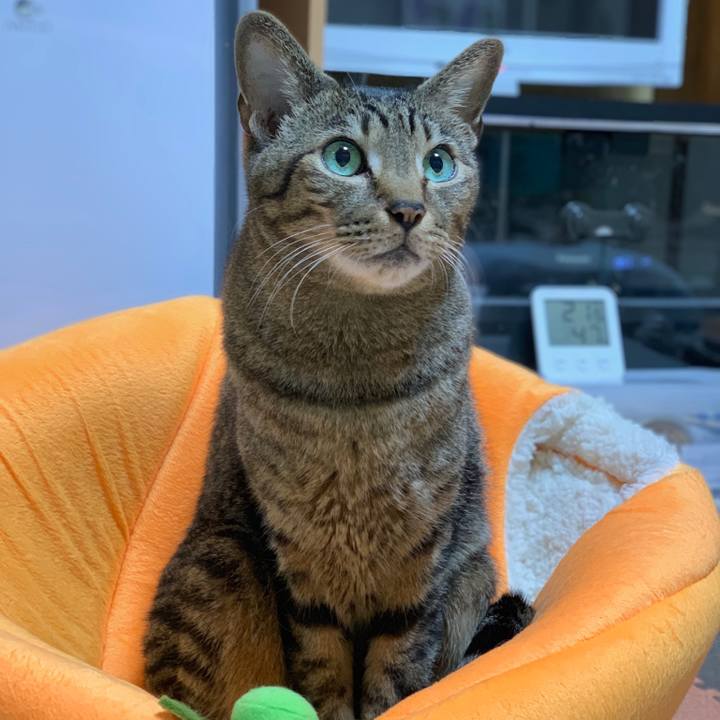 35e4acca b0e8 4c34 99a1 a753c181f0f1 1543195849352