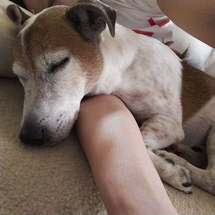 35e4e9a7 c3d4 4ddf aecb fd7ec889d9fb 1527775295535