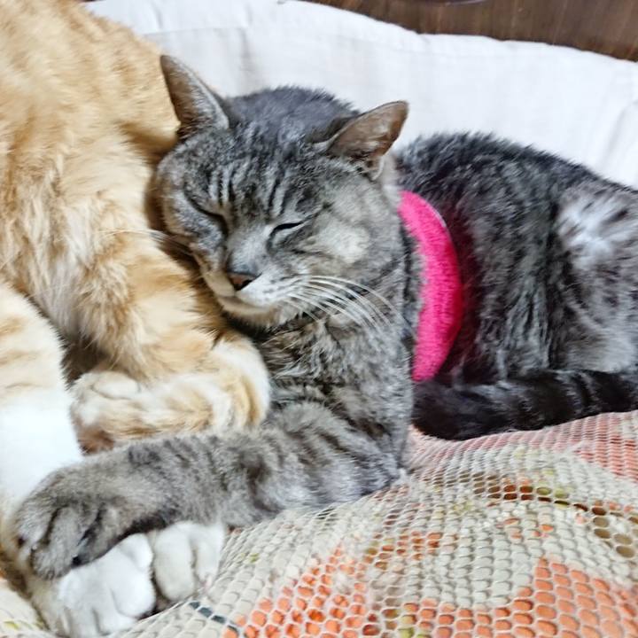 35e506c1 7c59 4cdd 87b5 492b49f20d0d 1586694209914