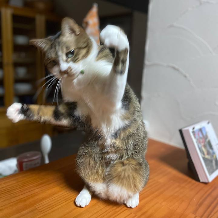 35e50e78 27c2 4316 a88a f2fe8d8204c9 1645022310759