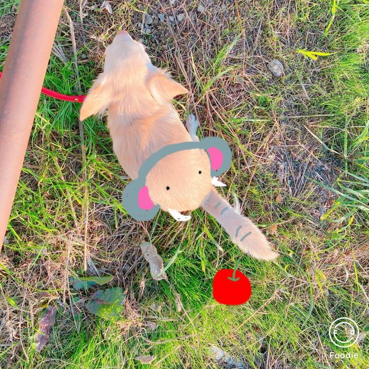 35e52dcb c121 47ba b630 02a9a8d0cecd 1639816524023