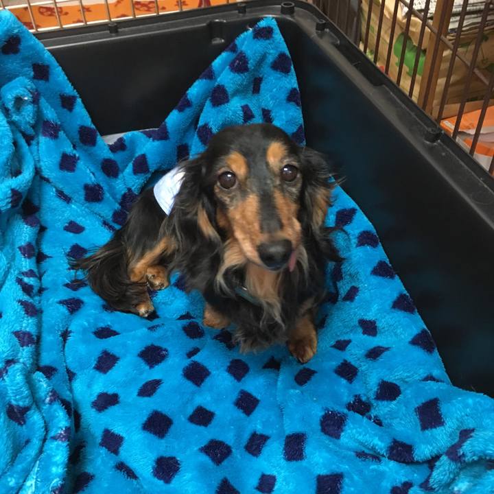 35e52f76 d55f 4be2 9e8a 2881fa6e2959 1549448871464