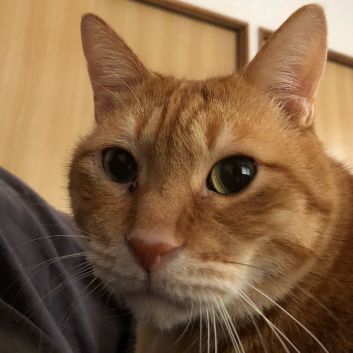 35e532a6 cf29 4380 aa95 2d8817665e40 1650229618299