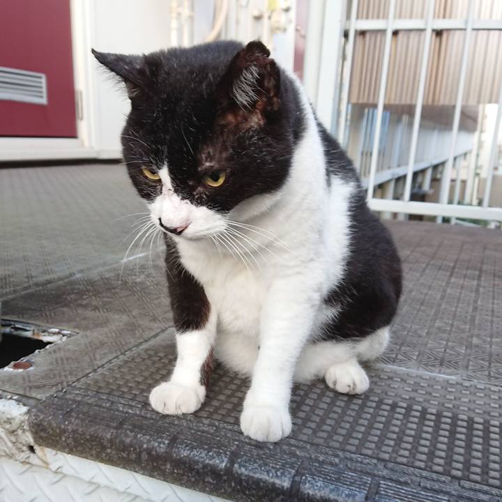 35e534bd 6b02 4aaa b9c0 9a627c56420d 1598748248110