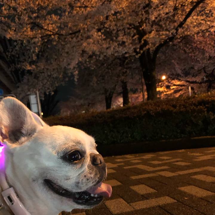 35e56d9f 1777 42ff 884a 1341c4706c46 1679835718232