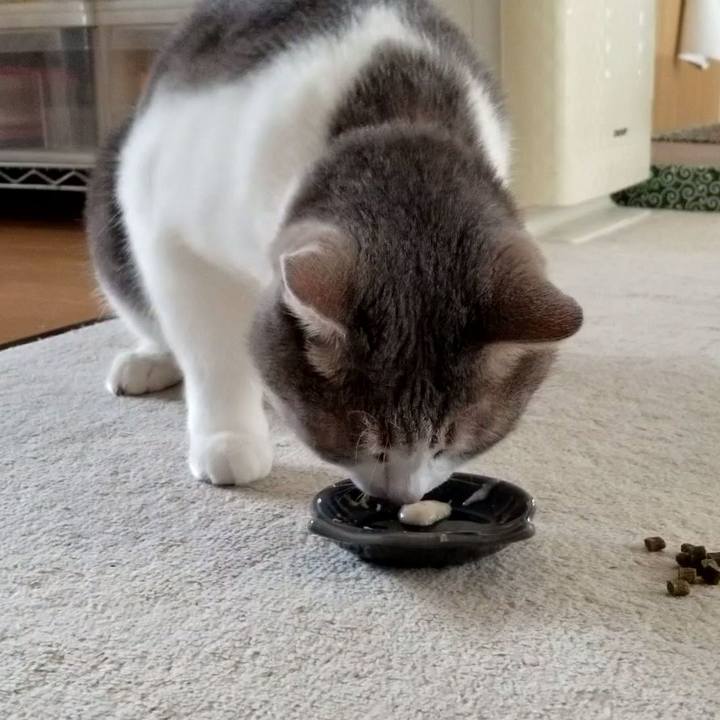 35e5a24b f3bf 4913 a111 5aaa34035c62 1563513893354