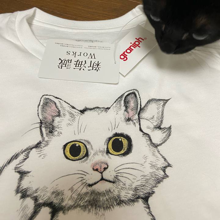 35e64765 e4e7 4f01 9777 d18fad676020 1688126379519