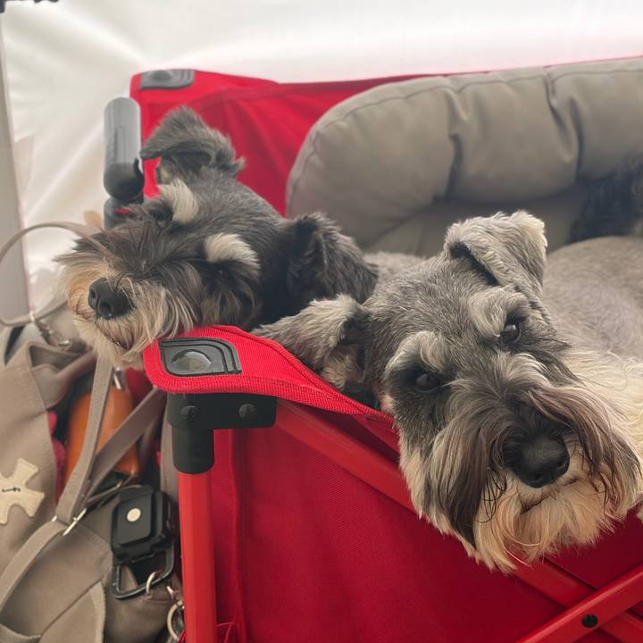 35e672fe e84c 4373 8c7b cd8b364f9e36 1774163995774