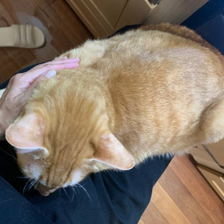 35e67cdb 3c62 439b bd29 702065bf14ce 1663843274070