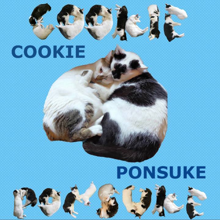 35e69949 5832 45dd 86f9 3e297124aa50 1667797990386