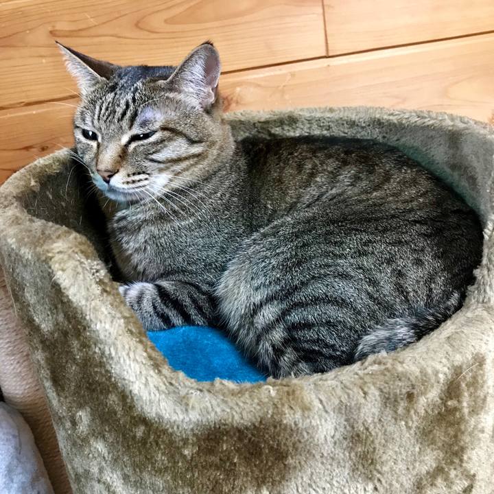 35e6acb4 8a5b 4cdb 8d75 09365d469f0d 1558838988047