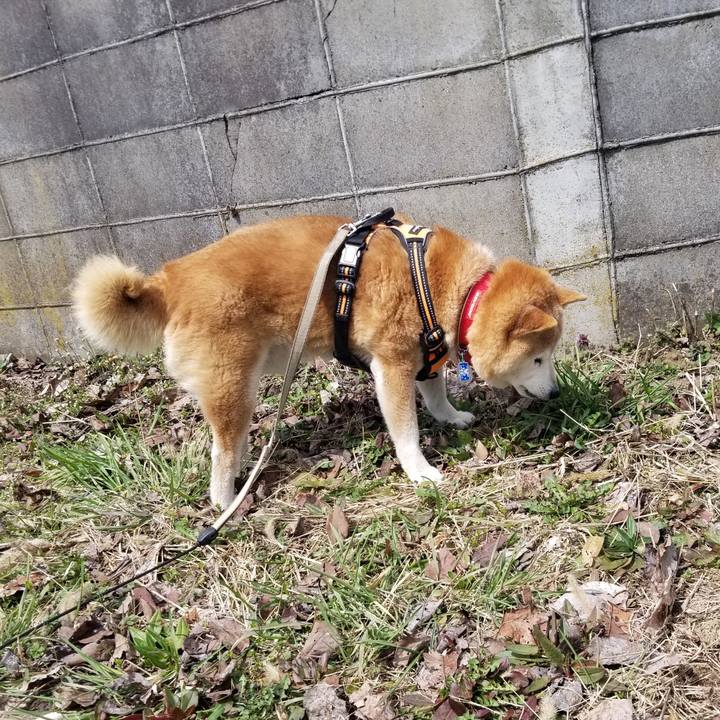 35e6ae08 90c0 4e23 a9db 0208e89ec5e4 1712455499303