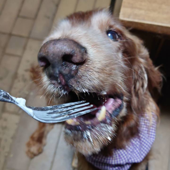 35e74224 a66e 4c2f b3b2 69212d1c8a88 1731410077424