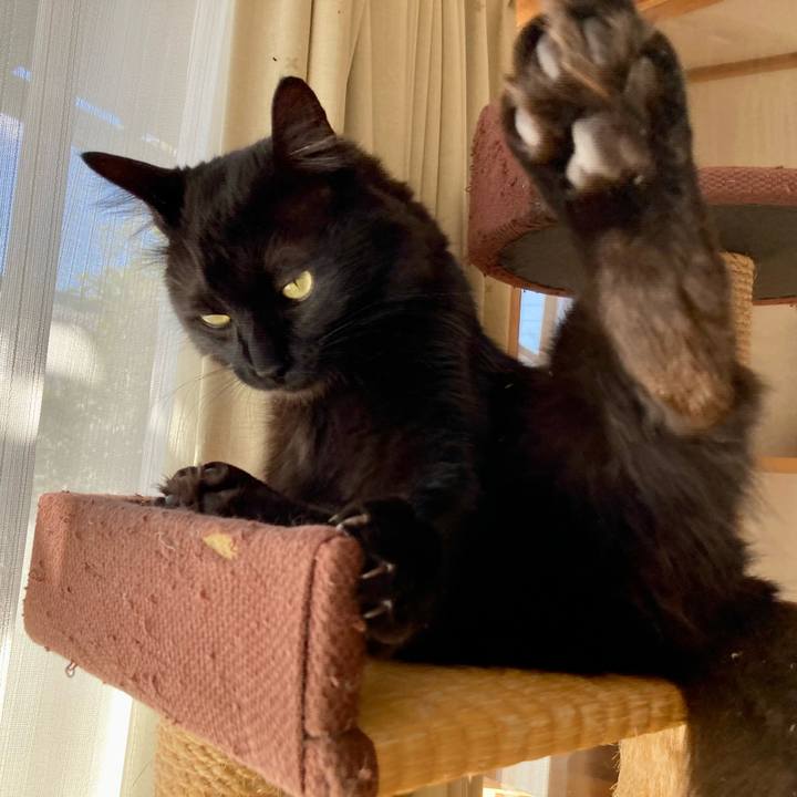 35e748be 3310 4a1f 81b2 04c071ed63c2 1736307357504