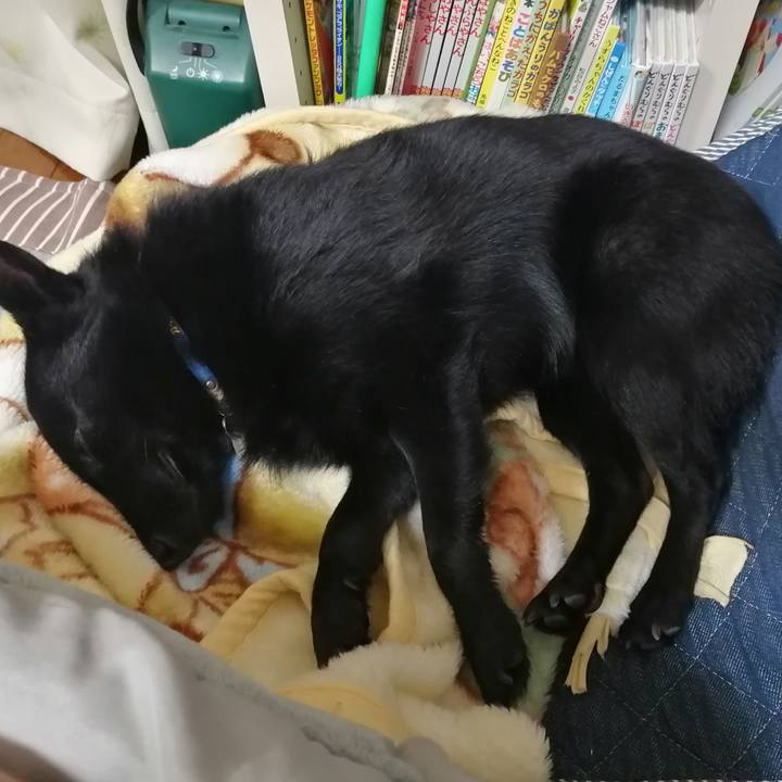 35e78bf8 39a0 4407 af44 38f932b619b7 1607772180959