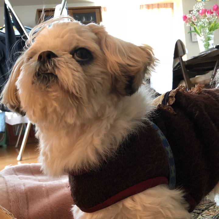 35e7cc42 2faf 4213 a532 c89cebc9bffb 1519768455300