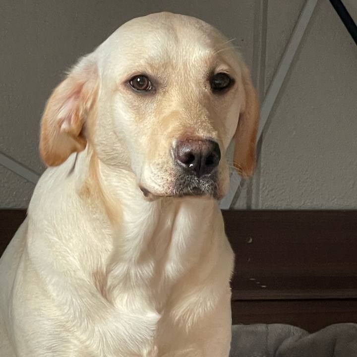 35e81f01 6883 4f9b 9112 40ecb75898b6 1643420112634