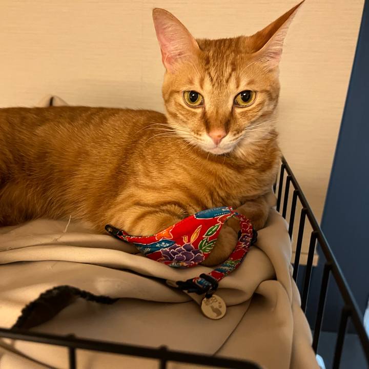 35e828e7 2a28 4c83 b01f c4c3e8ce1011 1643450621672