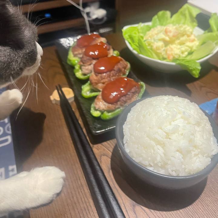 35e87cc9 6ca9 4949 9cdd 281cbd562710 1713005806327