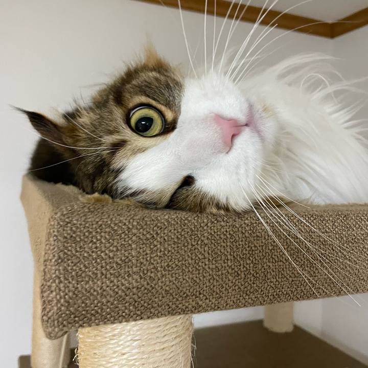 35e8a8be a203 4919 9778 8cdbcb6ffd8d 1683834698819