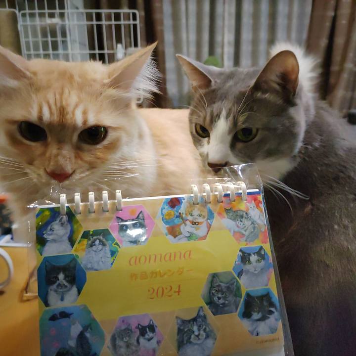 35e8bd26 850a 4292 be04 a29e3c4b040a 1701523264999